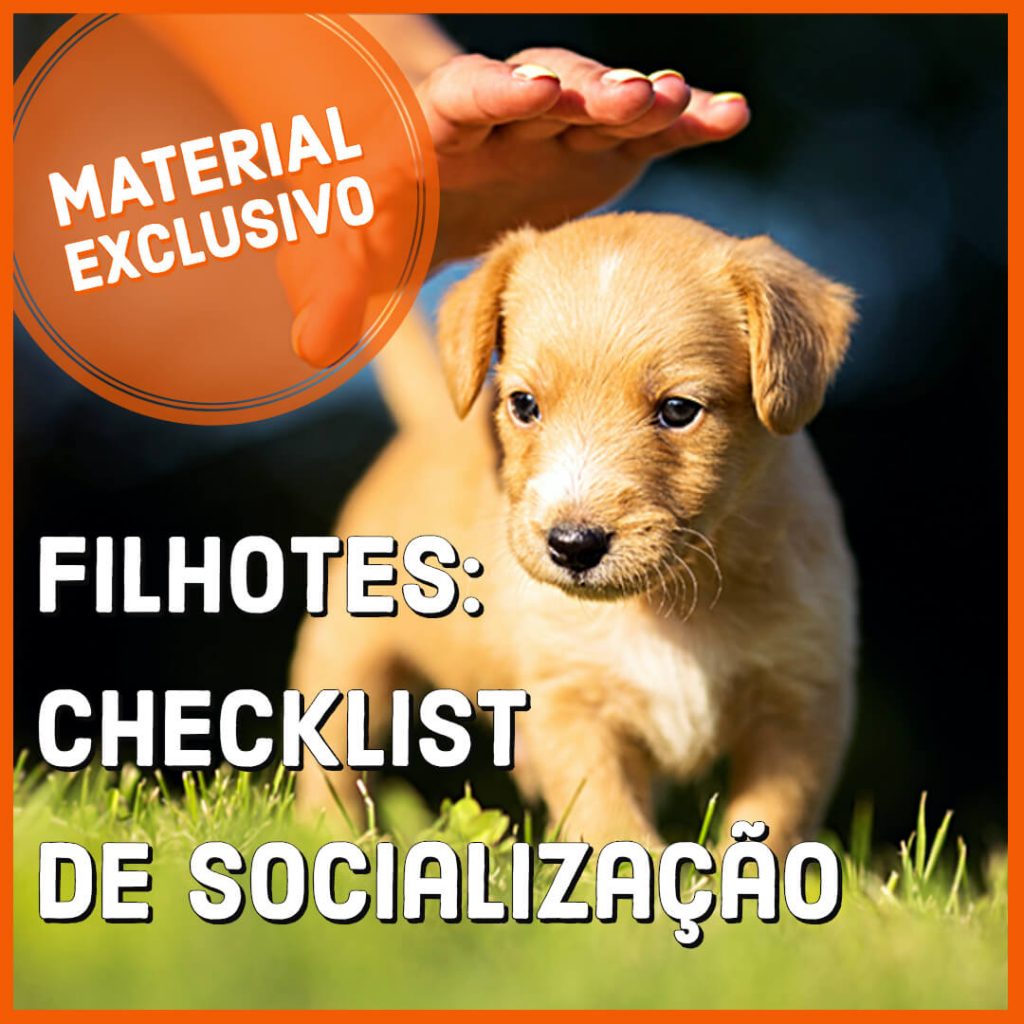 Filhotes CheckList de Socialização